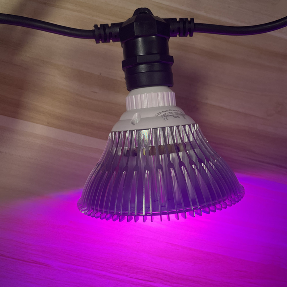 10 m langes LED-Kabel, wasserd – Outdoor Lighting Wedding Decor Bewertung und Preis